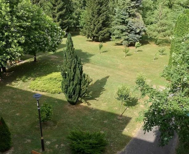 Helikon 31 * קסזטלי